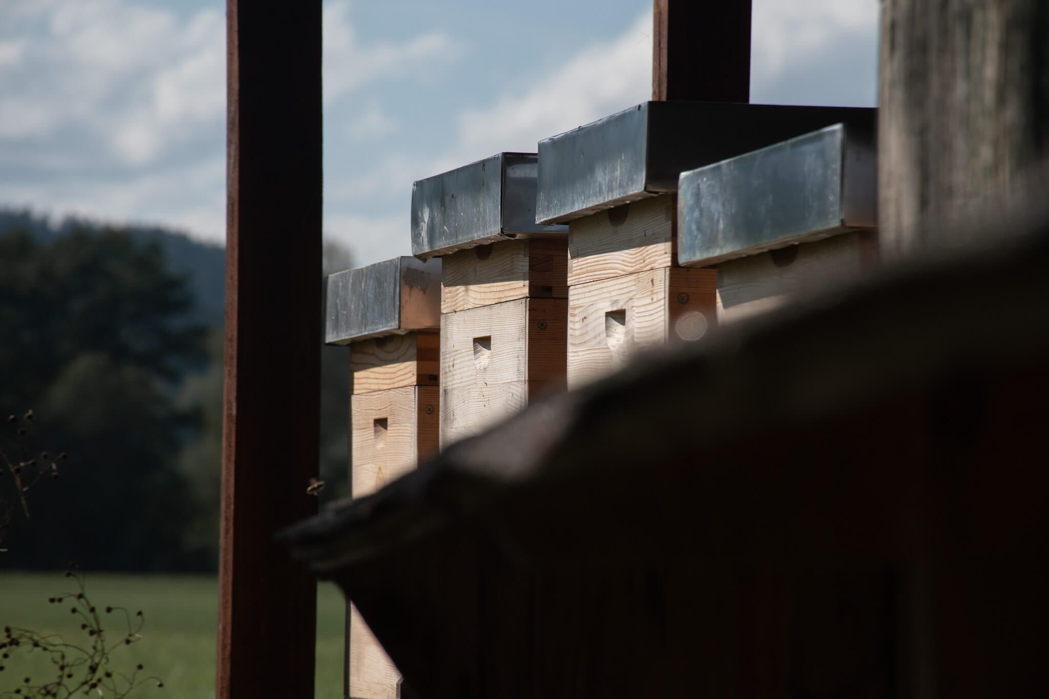 Bienenstock außen